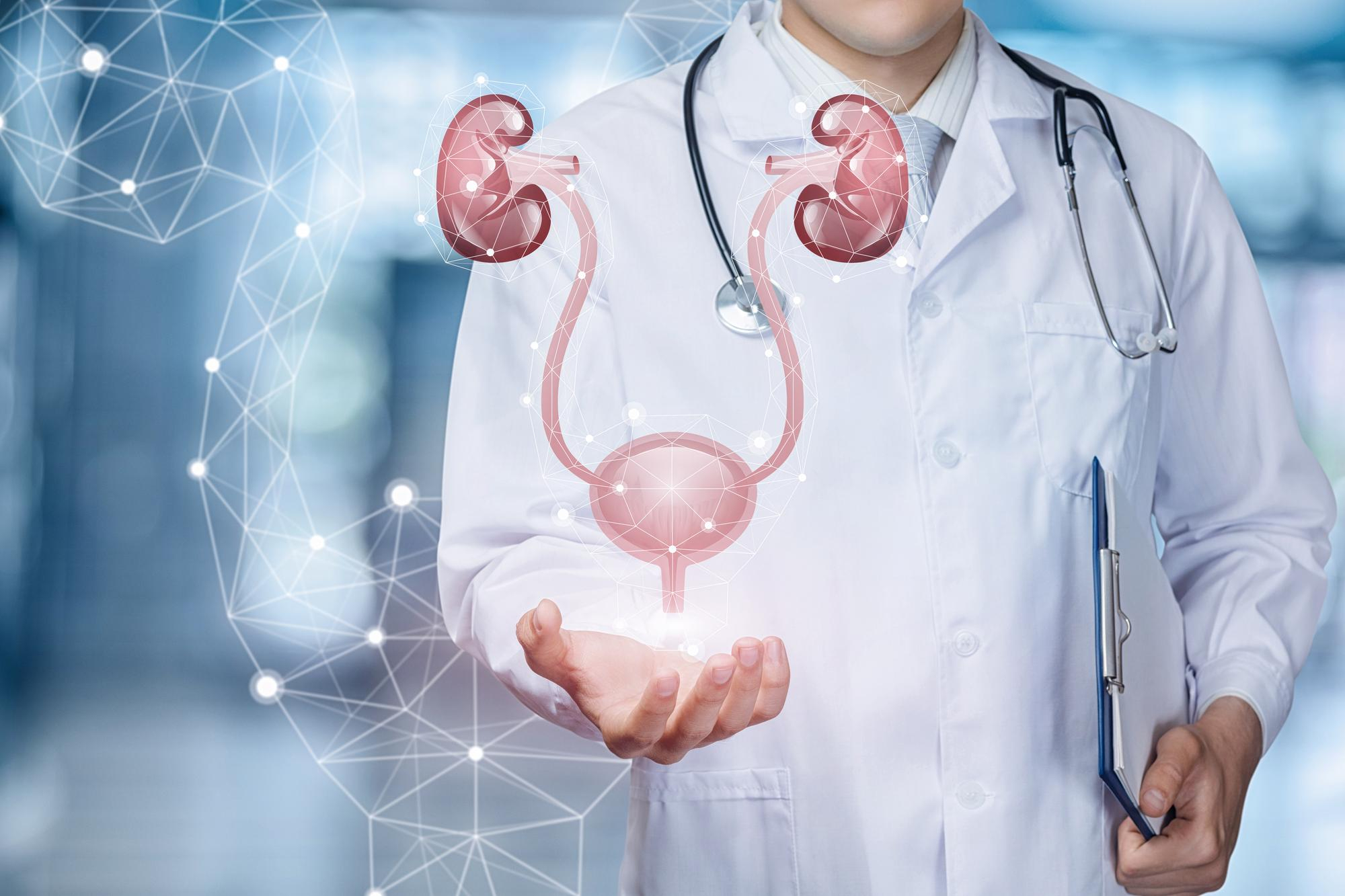 When It's Time to See a Urologist: A Comprehensive Guide to Your Urinary and Reproductive Health